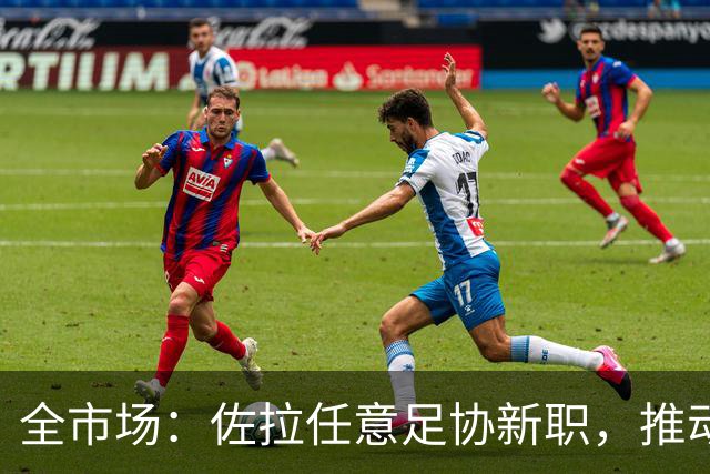 全市场：佐拉任意足协新职，推动意大利青训改革